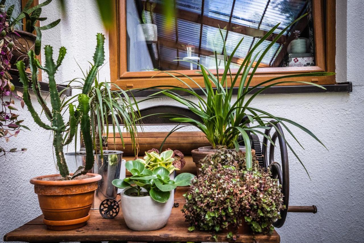 Trojka House Apartman Szklarska Poręba Kültér fotó